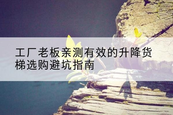 左权升降货梯怎么选-工厂老板亲测有效的升降货梯选购避坑指南