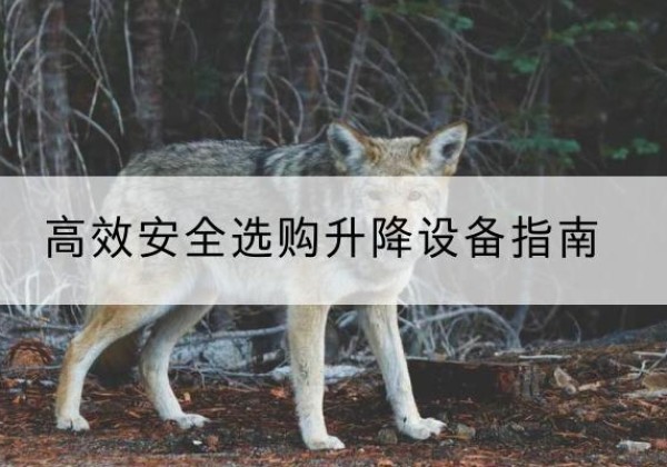 左权升降货梯厂家推荐-*安全选购升降设备指南