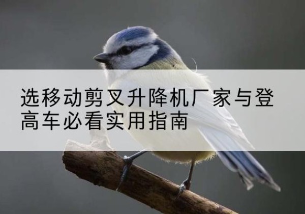 左权电动升降机厂家-选移动剪叉升降机厂家与登高车必看实用指南