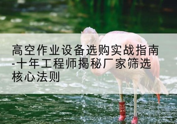 左权剪叉式升降机厂家-高空作业设备选购实战指南-十年工程师揭秘厂家筛选核心法则