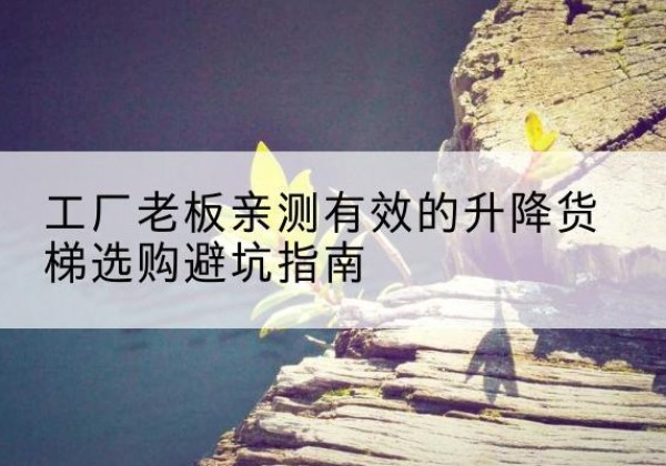 左权升降货梯怎么选-工厂老板亲测有效的升降货梯选购避坑指南
